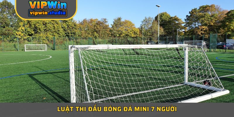Luật Thi Đấu Bóng Đá Mini 7 Người - Kiến Thức Nền Tảng 