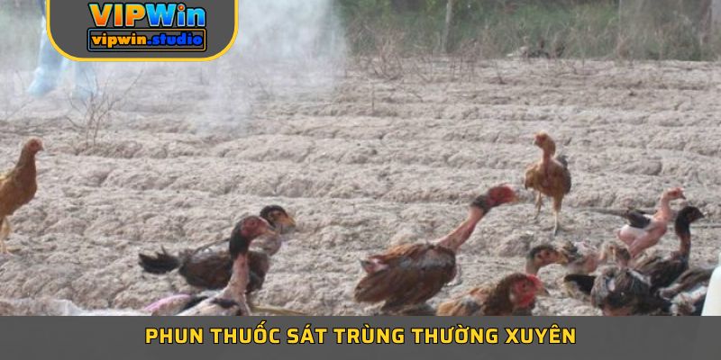 Phun thuốc sát trùng thường xuyên để giữ môi trường trang trại luôn sạch sẽ