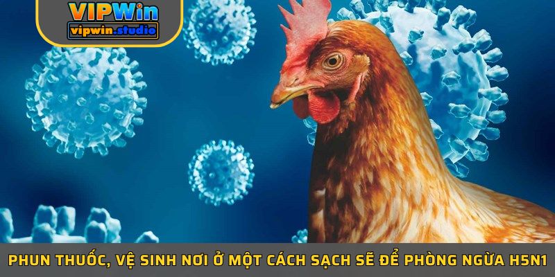 Phun thuốc, vệ sinh nơi ở một cách sạch sẽ để phòng ngừa H5N1