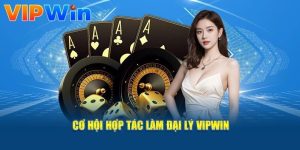 Hướng dẫn kiếm tiền Hoa hồng đại lý lên đến 50% từ vipwin