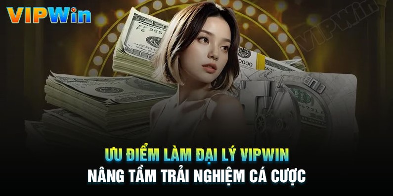 Tỷ lệ % Hoa hồng đại lý đến từ đại lý siêu hấp dẫn