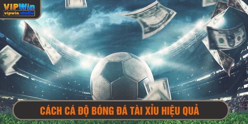 Cách cá độ bóng đá tài xỉu hiệu quả dễ chiến thắng nhất 