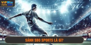 Sảnh SBO sports là gì