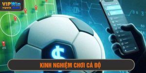 Kinh nghiệm chơi cá độ