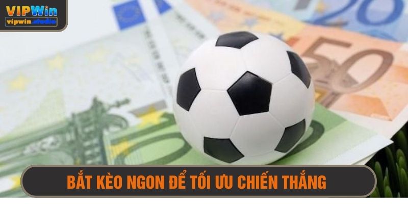 Kinh nghiệm chơi từ cao thủ - Biết chọn kèo ngon tối ưu chiến thắng 