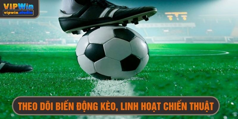 Theo dõi biến động tỷ lệ cược để linh hoạt chiến thuật 