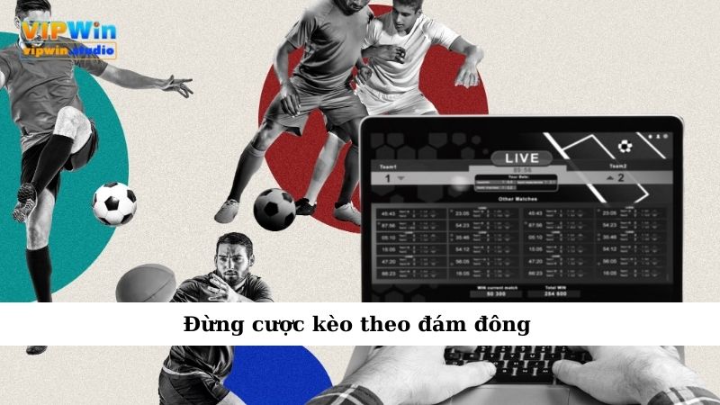 Đừng cược kèo theo đám đông