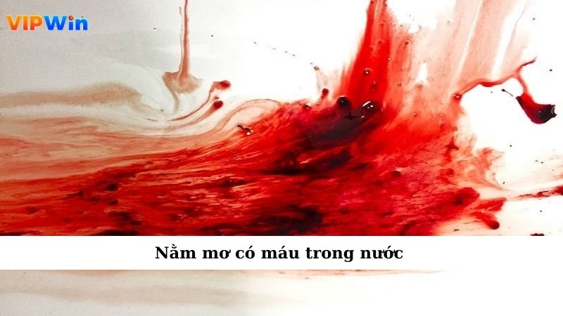 Nằm mơ có máu  trong nước