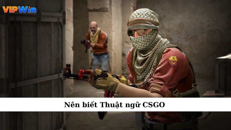 Nên biết Thuật ngữ CSGO